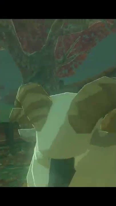 botw 10 chickens|Zelda: Breath of the Wild Guide .